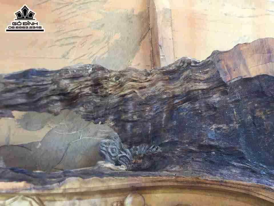 Mã đáo thành công gỗ chun dổi 82x1m6x9 5