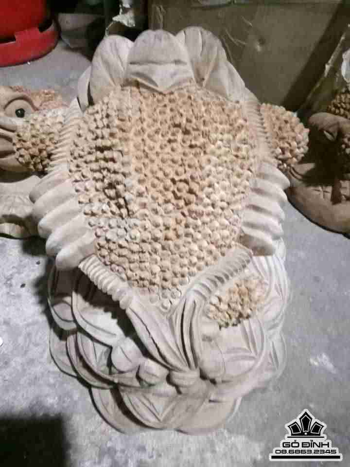 coc-go-xa-xi-gu-huong