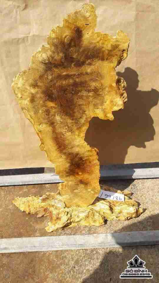 Đồng hồ nu nghiến 48x66x16 1