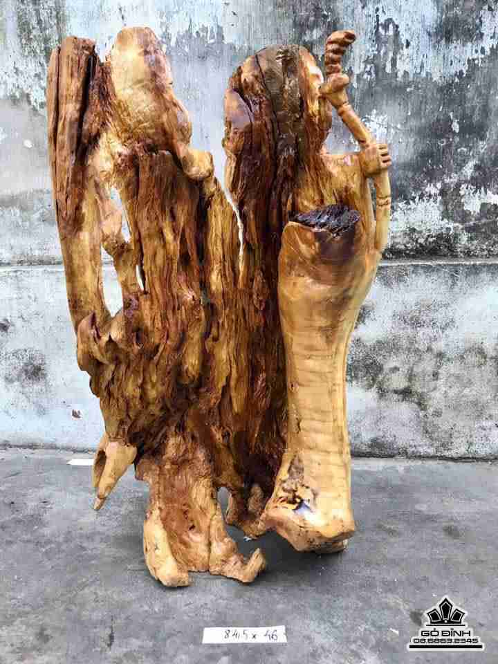Đạt ma gỗ nu nghiến 84.5x46x30 3