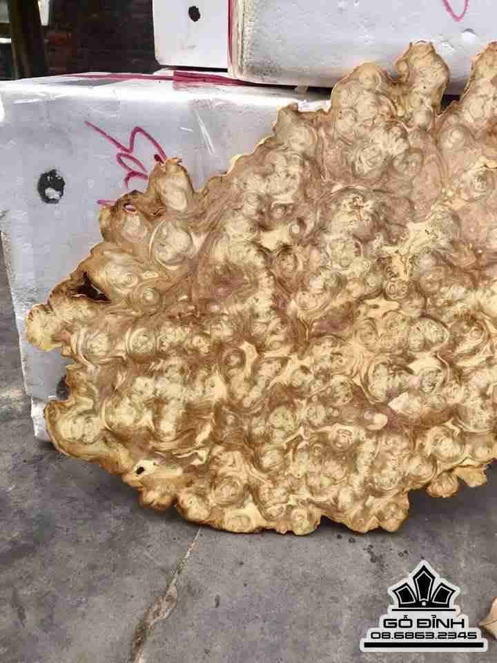 Khay trà gỗ nu nghiến 51x36,5x3  1