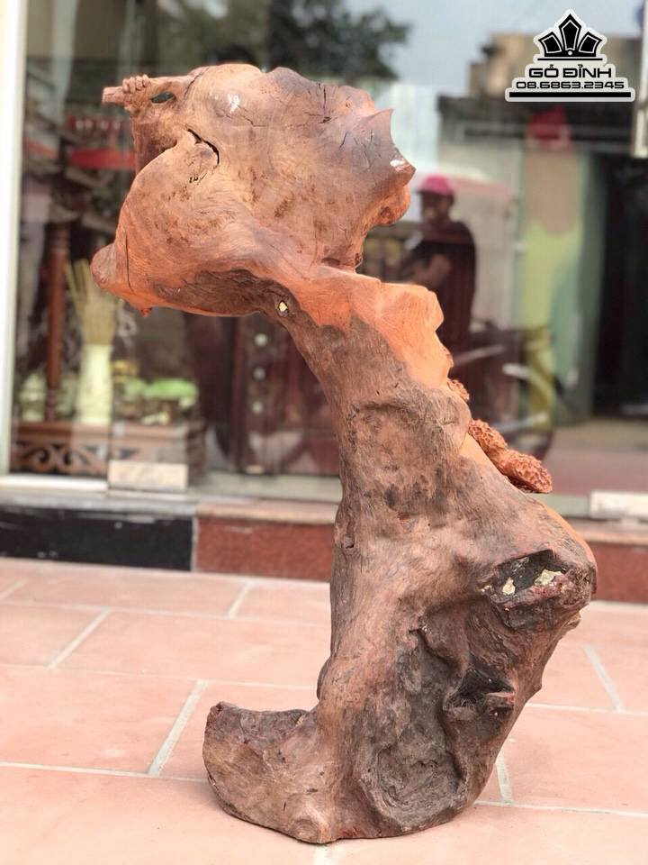 Đạt ma bay gỗ hương 82x60x30 3