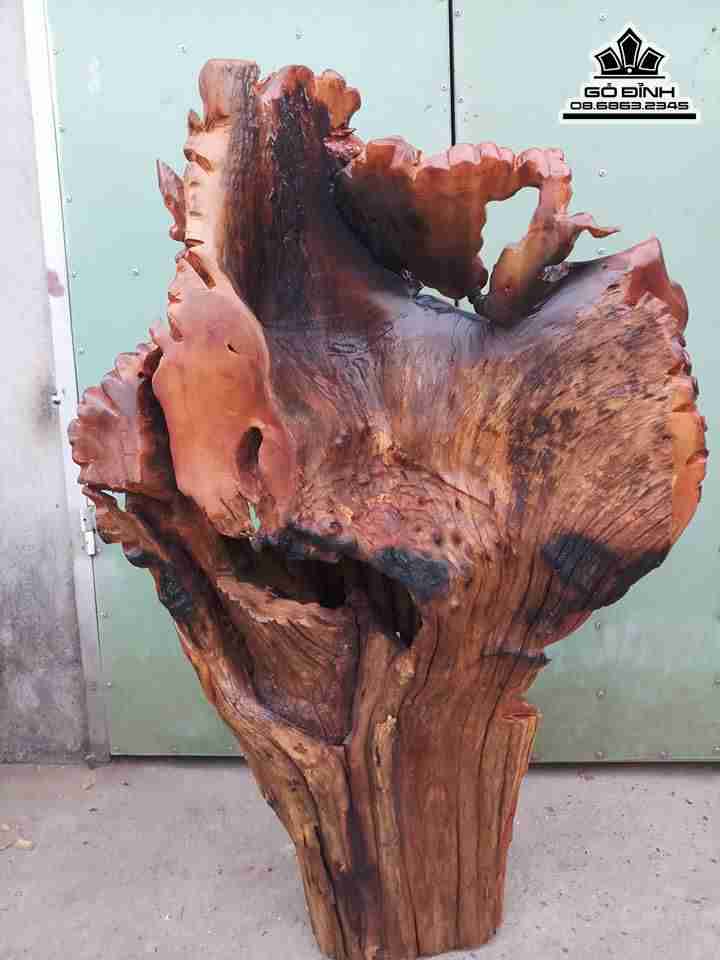 Đạt ma hàn long gỗ hương 1m08x62x55 5