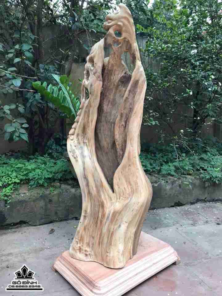 Cụ thọ lũa bách xanh 98x40x30 1