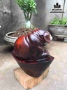 Chó phú quý gỗ hương 28x38x19 2