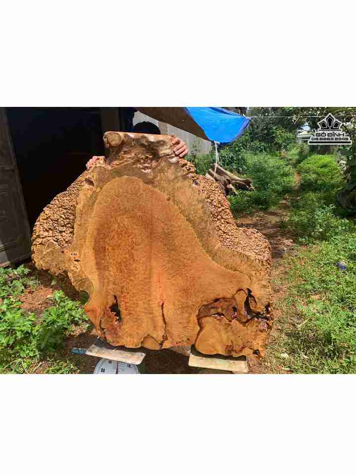 Mặt Bàn Nguyên Khối Gỗ Nu Xá Xị ( Gù Hương )   Ngang 140 Cao 110 Dày 10-13 (cm)