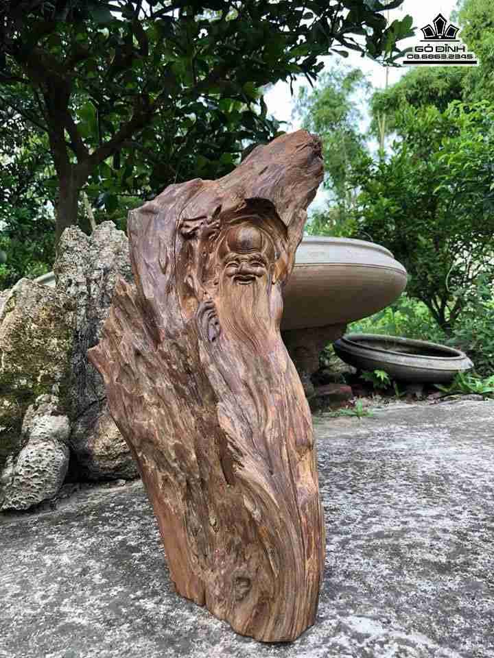 Ông thọ gỗ lũa bách xanh  cao 47 rộng 25 dày 17 (cm)