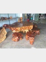 Bộ bàn ghế gốc cây mặt bàn chun dổi  rộng 1m2 dài 2m2 dày 26 (cm) và  6 đôn xá xị