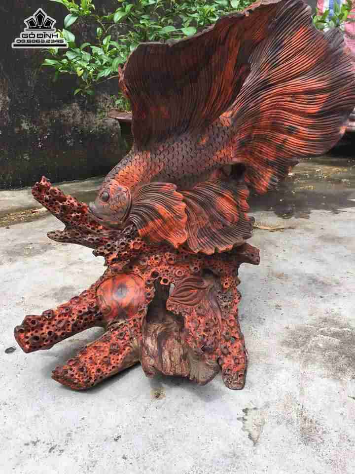 Cá xiêm phú quý gỗ trắc  cao 48 rộng 45 dày 36 (cm) 