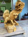 Sư tử gầm gừ gỗ nu kháo  cao 60 ngang 50 sâu 25 (cm)