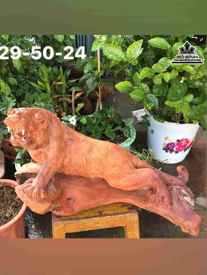 Chúa tể sơn lâm gỗ hương  cao 29 rộng 50 dày 24 (cm)