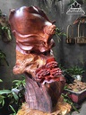 Đạt ma mũa võ gỗ hương  78x42x25