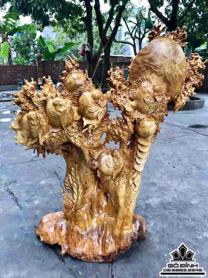 Đàn cá la hán phú quý gỗ nu kháo  98x88x30