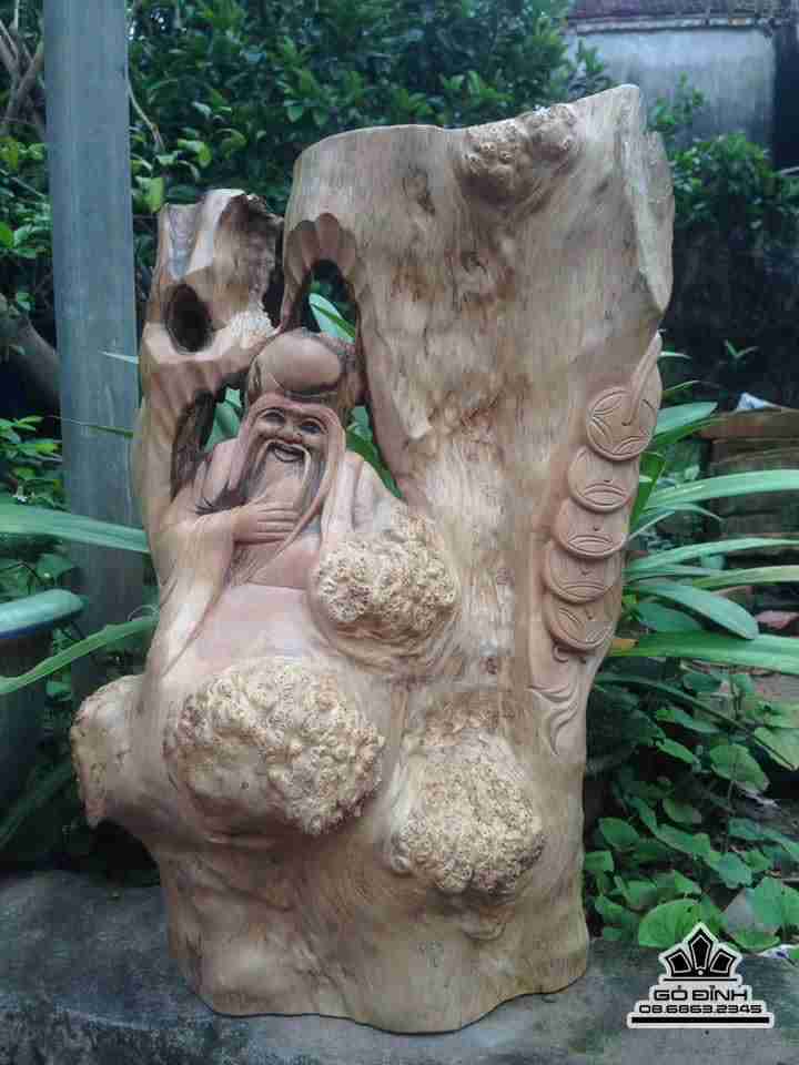 Cụ thọ gỗ nu hương giáng  45x30x15