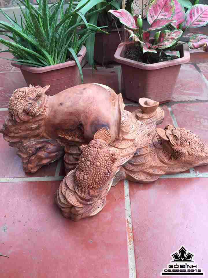 Bình cóc hút tài lộc gỗ hương  60x45x26