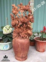 Bình hoa phù dung gỗ hương  81x30x28