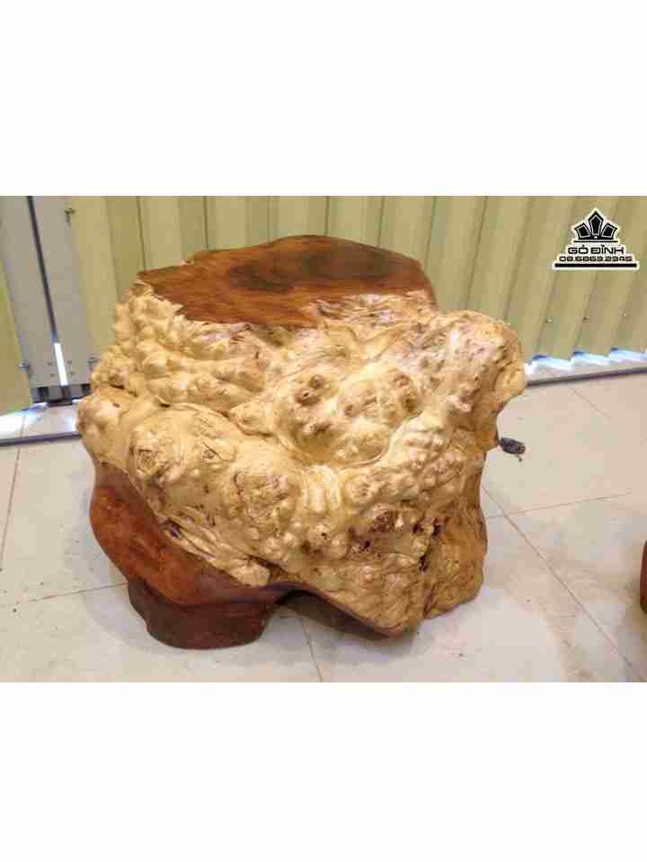 Đôn Gốc Cây Nguyên Khối Gỗ Nu Xá Xị ( Gù Hương )  Cao 40 Ngang 64 Sâu 60 Mặt 45-43 (cm)