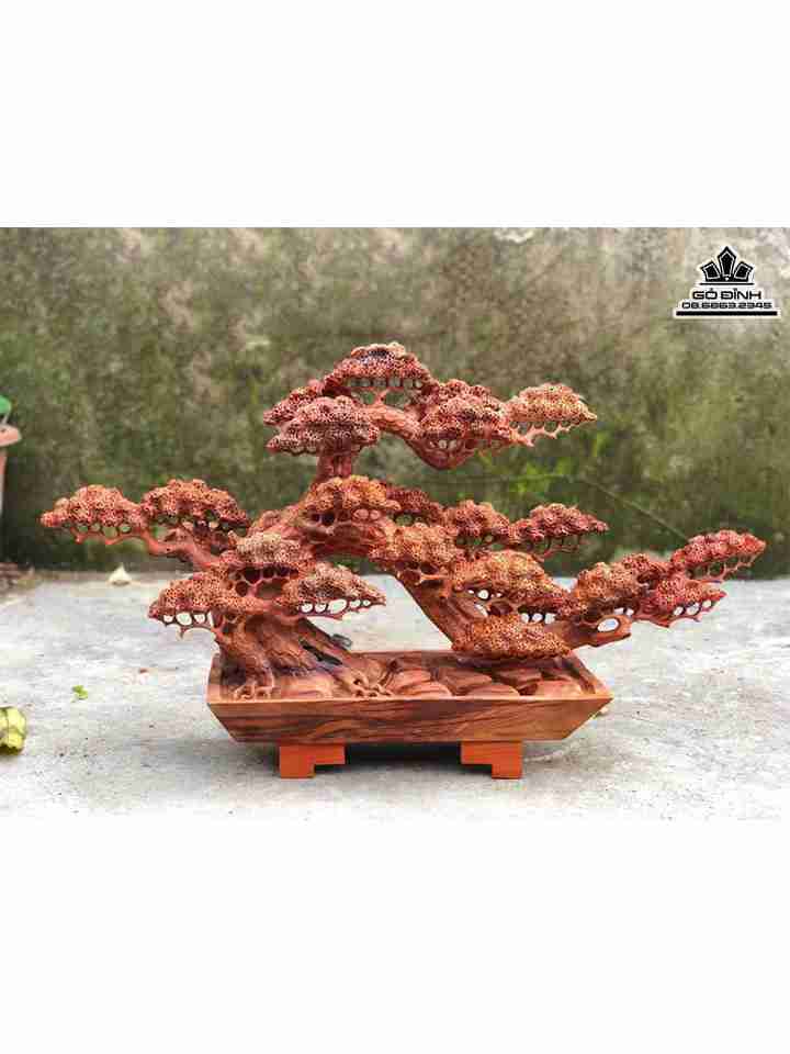 Chậu Tùng Bon Sai Gỗ Hương  Cao 43 Ngang 73 Sâu 18 (cm)
