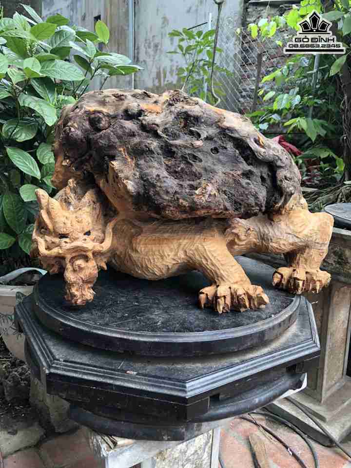 Tượng Long Quy Gỗ Nu Sụn Ngọc Am  Cao 35 Ngang 62 Sâu 50 (cm)