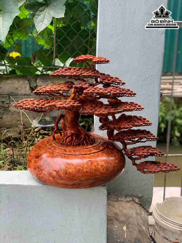 Tượng Bình Tùng Bon Sai Gỗ Nu Hương  Cao 50 Ngang 68 Sâu 40 (cm)