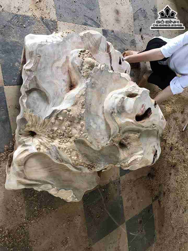 Bàn Trà Nhật Gỗ Nu Xá Xị ( Gù Hương )  Dài 100 Ngang 90 Cao Nhất 45 (cm)