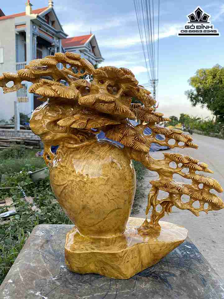 Bình Tùng Bon Sai Gỗ Nu Kháo  Cao 45 Ngang 50 Sâu 22 (cm)