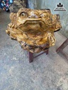 Tượng Cóc Thiềm Thừ Gỗ Nu Xá Xị ( Gù Hương)  Cao 30 Ngang 65 Sâu 50 (cm)