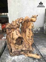 Tượng Ông Thọ Gỗ Lũa Bách Xanh  Cao 60 Ngang 60 Sâu 27 (cm)