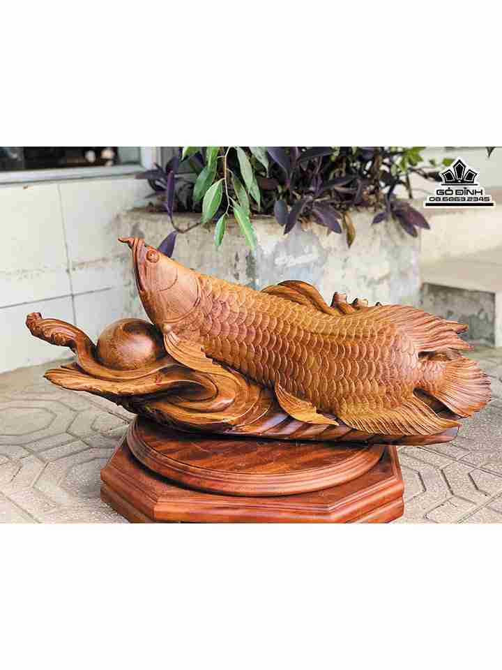 Tượng Cá Kim Long Nguyên Khối Gỗ Hương Việt  Cao 70 Ngang 30 Sâu 20 (cm)
