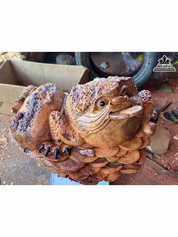 Tượng Cóc Ngậm Tiền Gỗ Nu Xá Xị ( Gù Hương )  Ngang 65 Sâu 55 Cao 35 (cm)