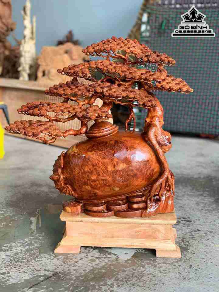 Tượng Bình Tùng Bon Sai Gỗ Nu Hương  Cao 50 Ngang 50 Sâu 18 (cm)