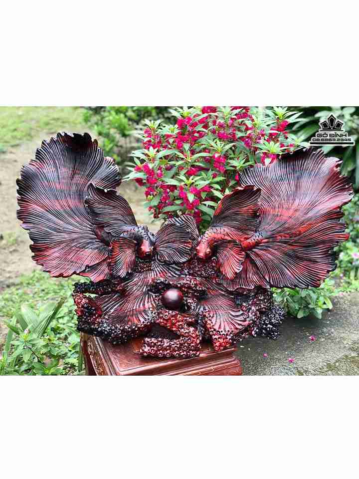 Tượng Cá Xiêm Gỗ Trắc  Cao 52 Rộng 100 Sâu 43 (cm)