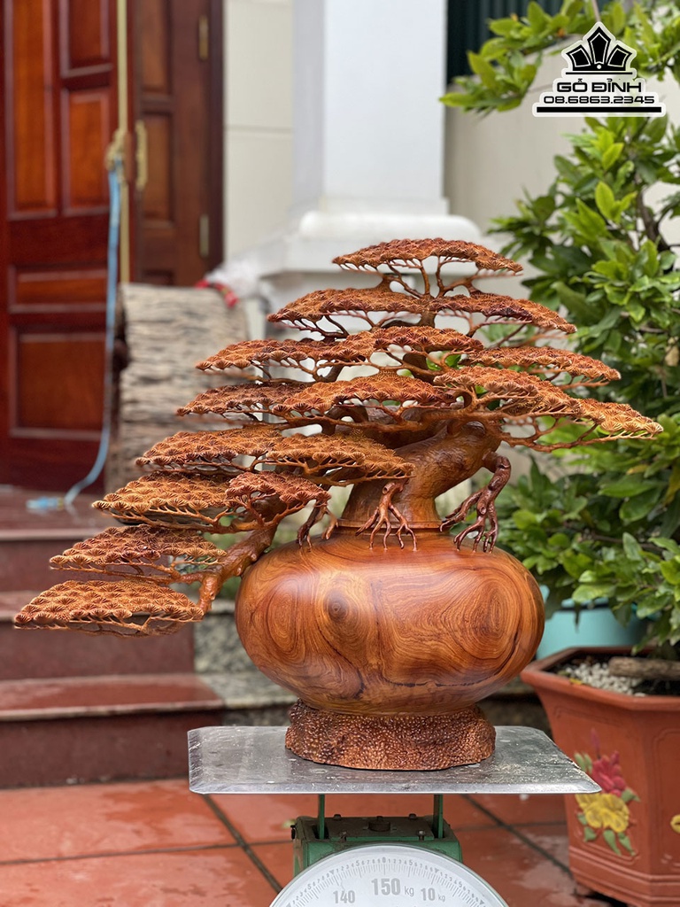 Bình Tùng Gỗ Hương Việt Cao 60 Ngang 73 Sâu 37 (cm)