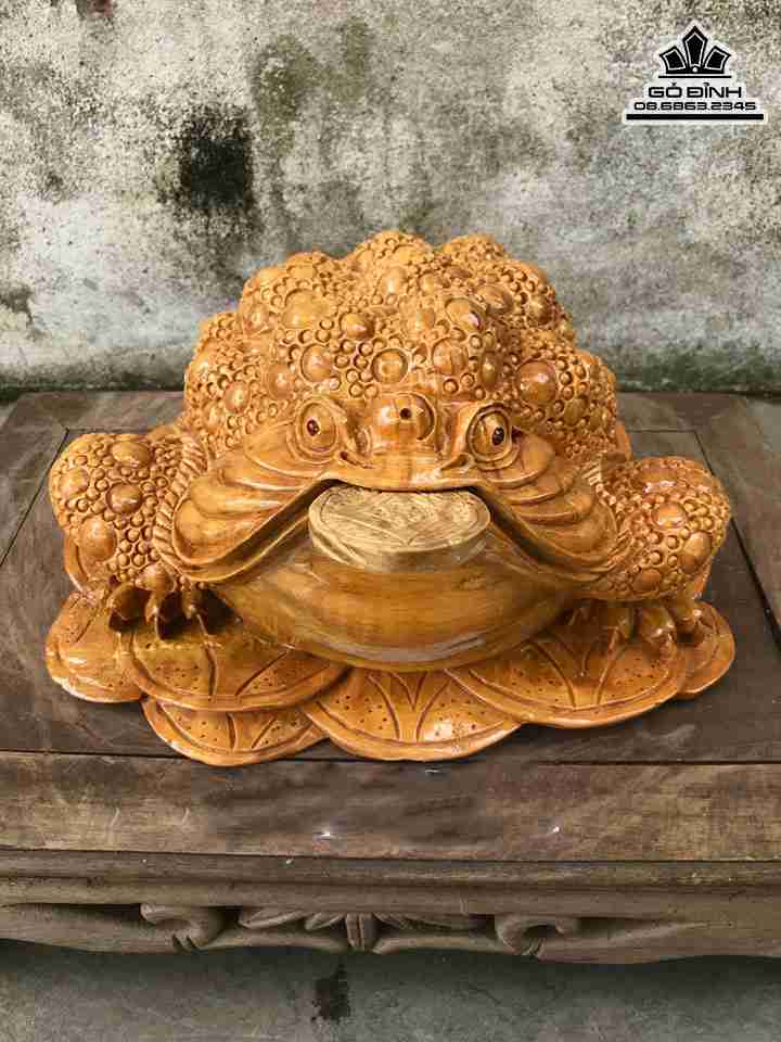 Tượng Cóc Ngậm Tiền Gỗ Nu Nghiến  Cao 17 Ngang 32 Sâu 33 (cm)
