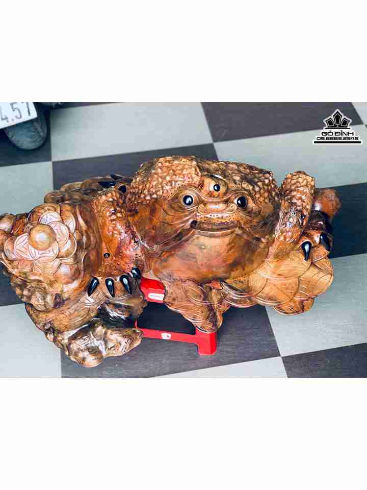 Tượng Cóc Ngậm Tiền Gỗ Nu Xá Xị ( Gù Hương )  Cao 33 Ngang 90 Sâu 55 (cm)