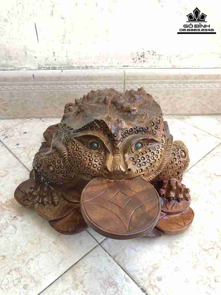 Tượng Cóc Ngậm Tiền Gỗ Nu Xá Xị ( Gù Hương )  Rộng 31 Dài 36 Cao 18 (cm)