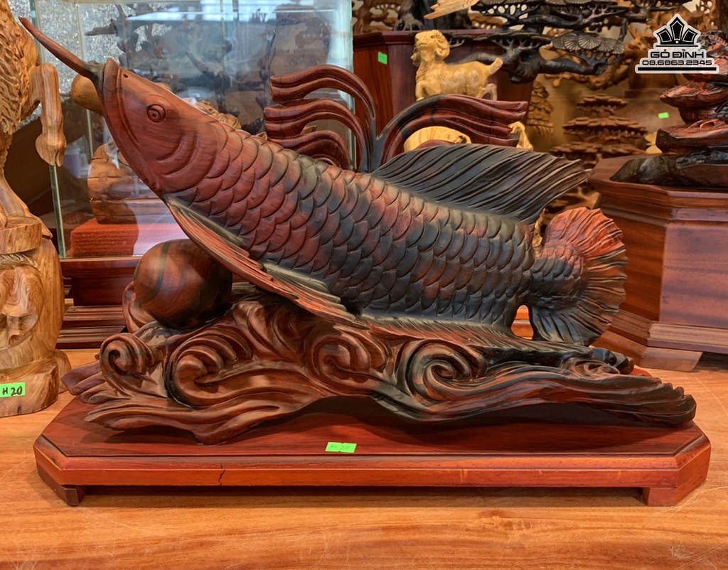 Tượng Cá Kim Long Gỗ Trắc Cao 31 Ngang 50 Sâu 16 (cm)