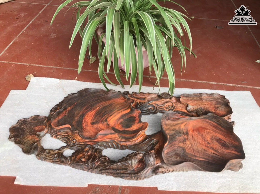 Khay Đựng Hoa Quả Gỗ Trắc Cao 6 Ngang 56 Sâu 27 (cm)