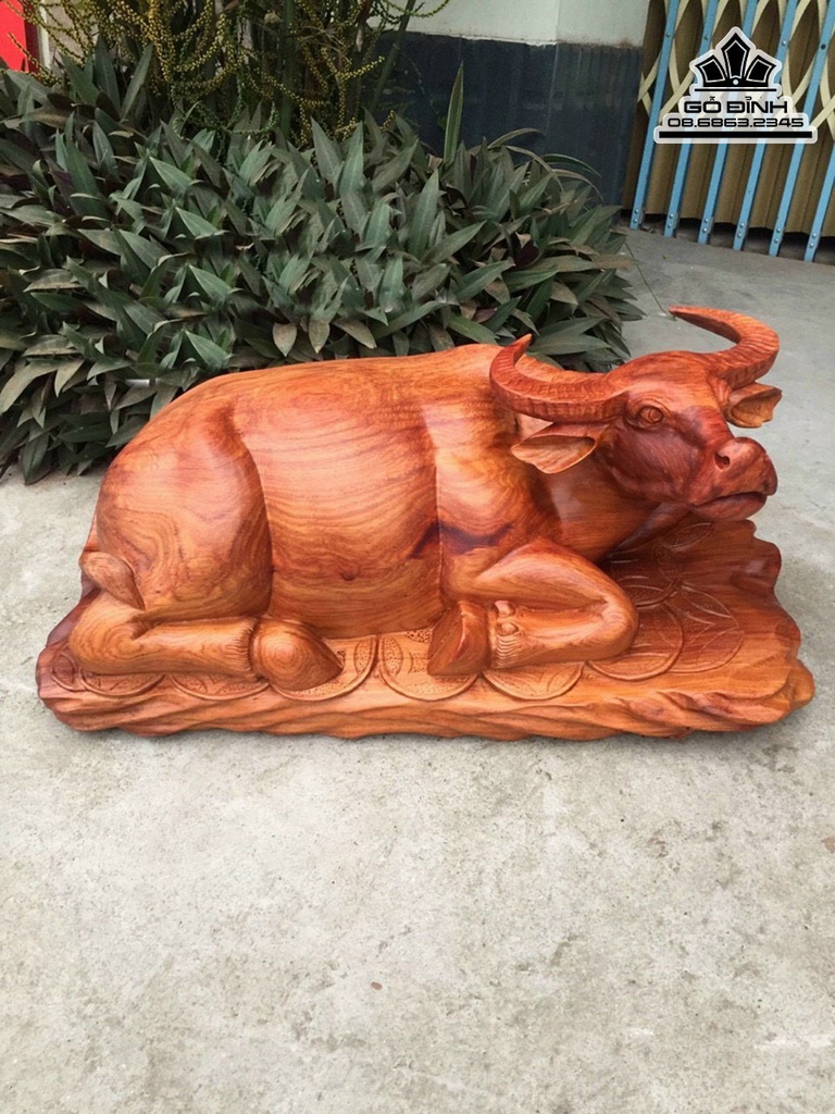 Tượng Trâu Gỗ Hương Việt Cao 75 Ngang 37 Sâu 31 (cm)