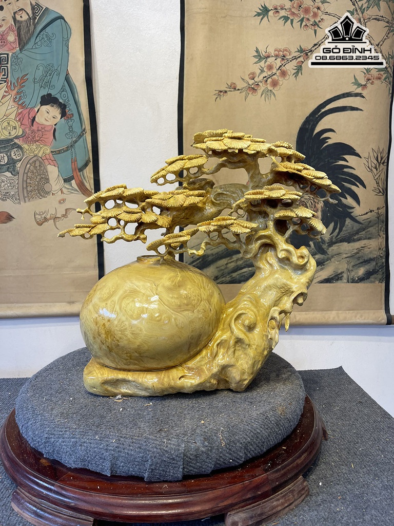 Bình Tùng Bon Sai Gỗ Nu Kháo Cao 43 Ngang 40 Sâu 25 (cm)