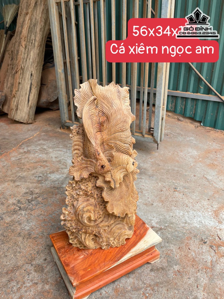 Tượng Cá Xiêm Gỗ Ngọc Am Cao 56 Ngang 34 Sâu 16 (cm)