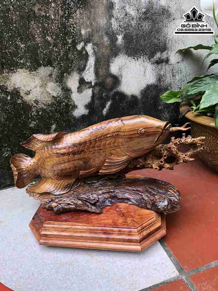 Tượng Cá Kim Long Gỗ Bách Xanh  Cao 23 Ngang 50 Sâu 16 (cm)