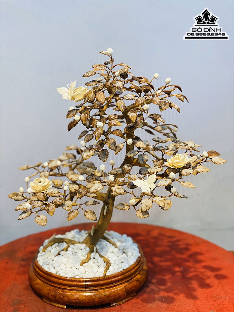 Bình Bonsai Gỗ Hoàng Đàn Cao 46 Rộng 42 Sâu 30 (cm)