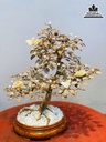 Bình Bonsai Gỗ Hoàng Đàn Cao 46 Rộng 42 Sâu 30 (cm)