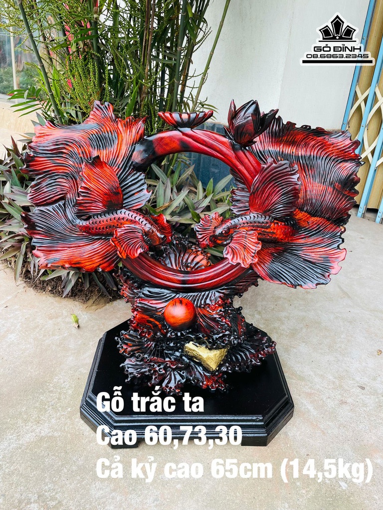 Tượng Cá Xiêm Gỗ Trắc Cao 30 Ngang 73 Sâu 30 (cm)