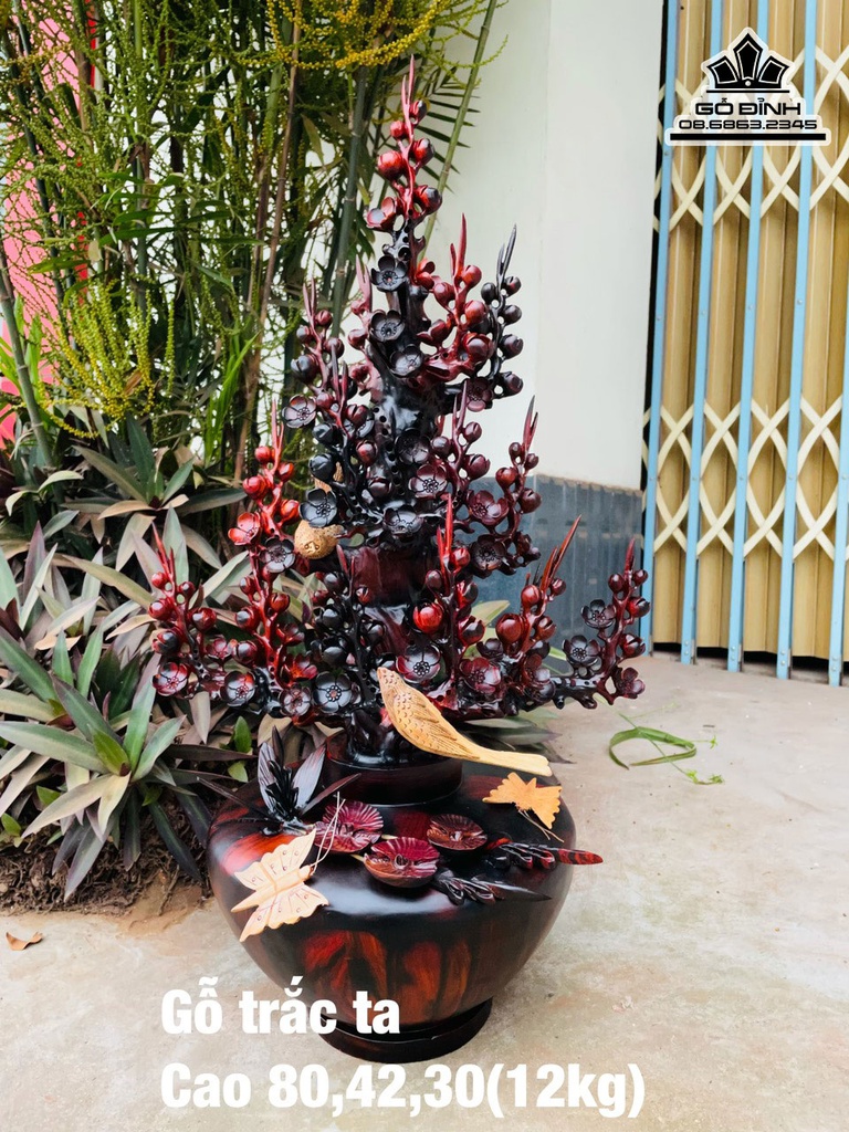 Bình Bông Mai Điểu Gỗ Trắc Cao 80 Ngang 42 Sâu 30 (cm)