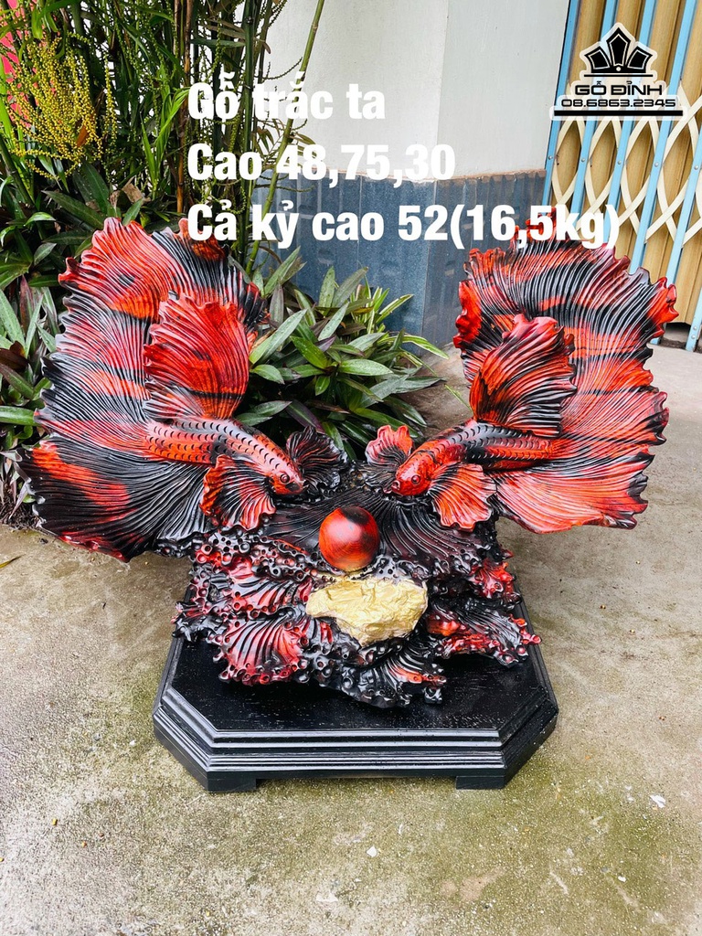 Tượng Cá Xiêm Gỗ Trắc Cao 48 Ngang 75 Sâu 30 (cm)