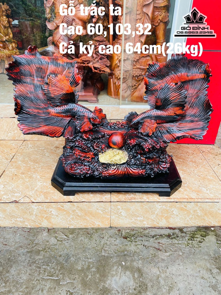 Tượng Cá Xiêm Gỗ Trắc Cao 60 Ngang 103 Sâu 32 (cm)