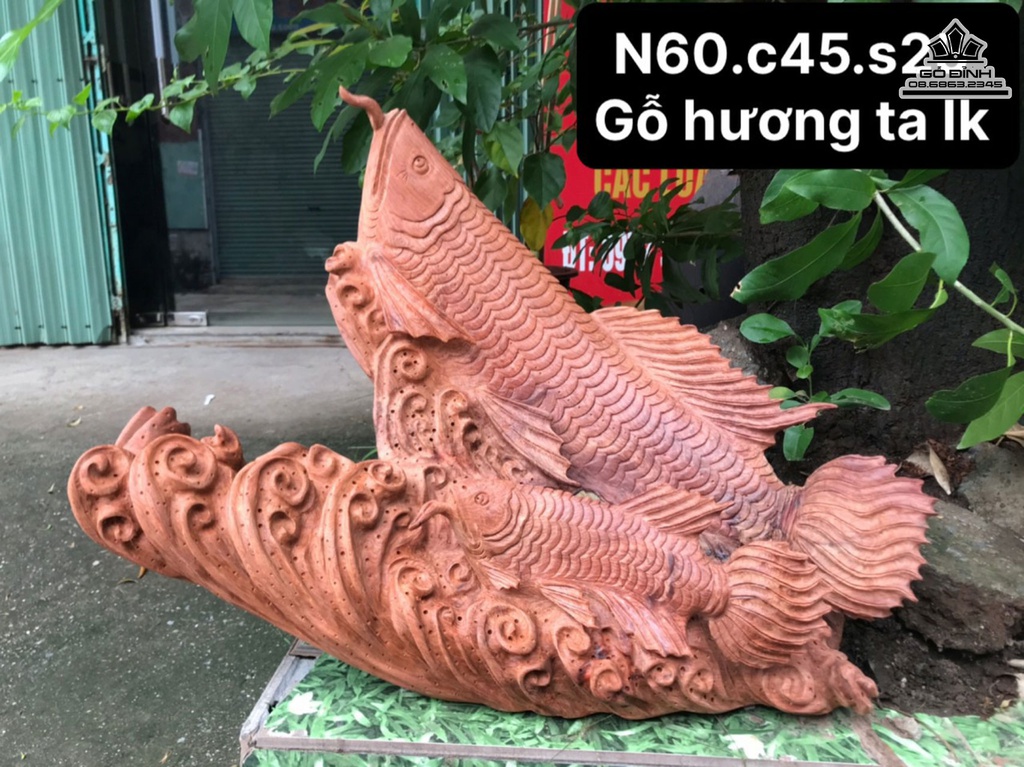 Tượng Cá Kim Long Gỗ Hương Việt Liền Khối Cao 45 Ngang 60 Sâu 25 (cm)
