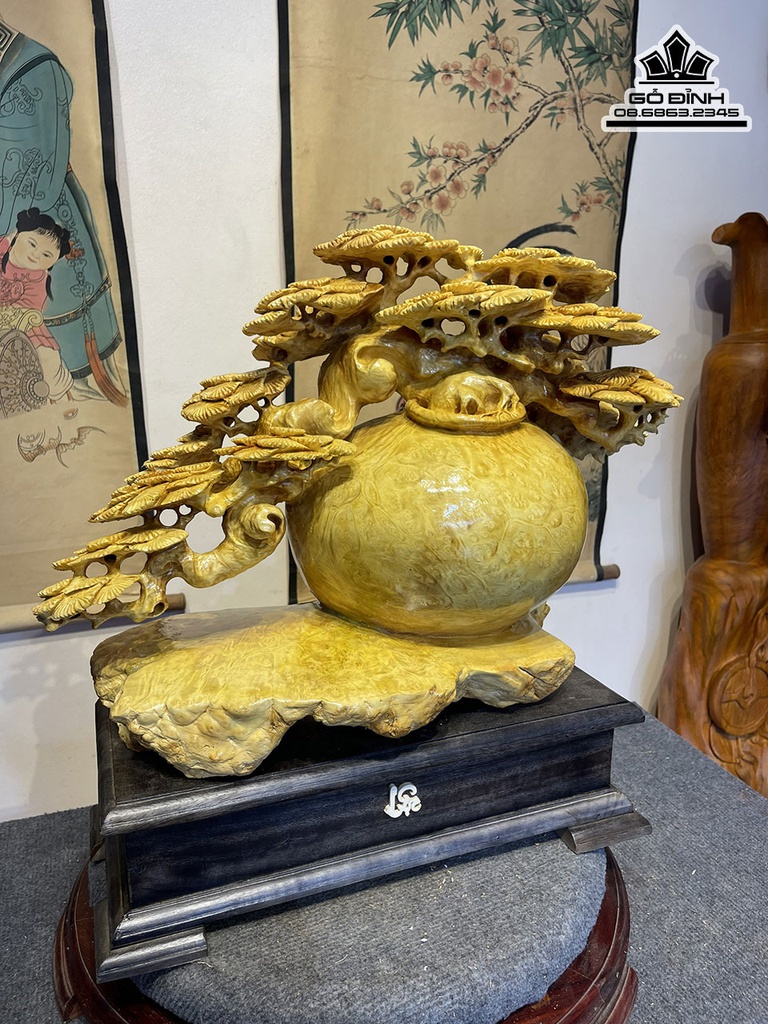 Bình Tùng Bonsai Gỗ Nu Kháo Cao 55 Ngang 40 Sâu 23(cm)